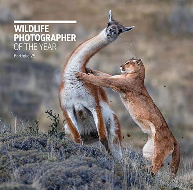 Wildlife Photographer of the Year: Portfolio 29,Paperback,By:Kidman Cox, Rosamund
Wildlife Photographer of the Year: Portfolio 29,Paperback,By:Kidman Cox, Rosamund