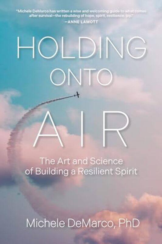 Holding Onto Air by Michele DeMarco-Paperback