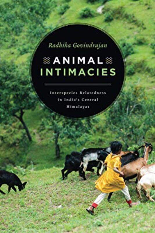 Animal Intimacies by Elizabeth E University of Massachusetts EpsteinBarbara S University of New Mexico McCrady-Paperback
Animal Intimacies by Elizabeth E University of Massachusetts EpsteinBarbara S University of New Mexico McCrady-Paperback