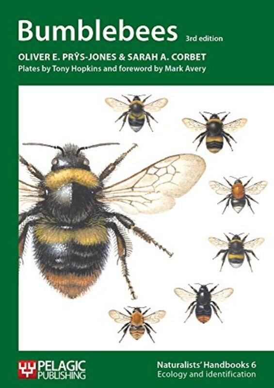 Bumblebees by Melissa G PhD University of Pennsylvania USA Hunt-Paperback
Bumblebees by Melissa G PhD University of Pennsylvania USA Hunt-Paperback