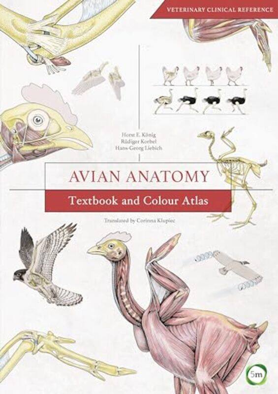 Avian Anatomy 2nd Edition Textbook and Colour Atlas by Marcos CuetoTheodore M University of Rochester New York BrownElizabeth Fee-Hardcover
Avian Anatomy 2nd Edition Textbook and Colour Atlas by Marcos CuetoTheodore M University of Rochester New York BrownElizabeth Fee-Hardcover