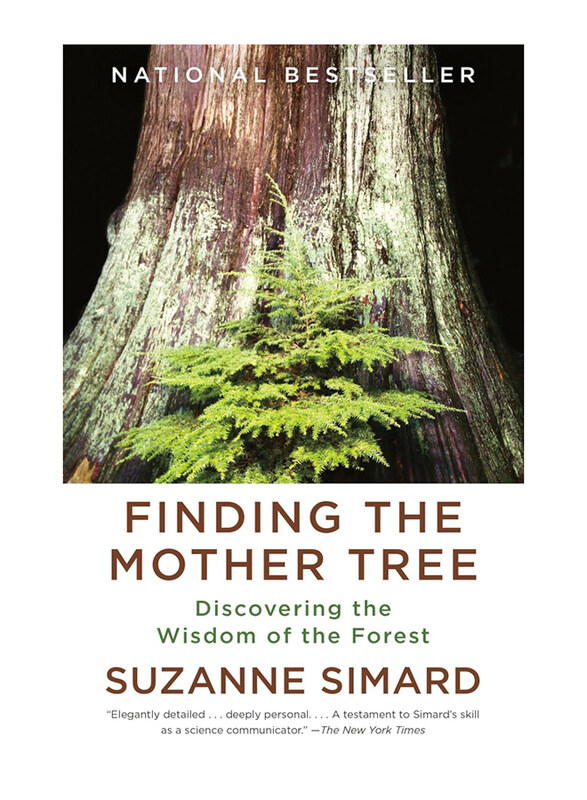 Finding the Mother Tree: Discovering the Wisdom of the Forest, Paperback Book, By: Suzanne Simard
Finding the Mother Tree: Discovering the Wisdom of the Forest, Paperback Book, By: Suzanne Simard