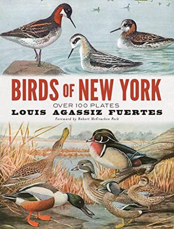 Birds of New York by Dr Wei Hsien Independent Researcher and Schola Malaysia Wan-Paperback
Birds of New York by Dr Wei Hsien Independent Researcher and Schola Malaysia Wan-Paperback