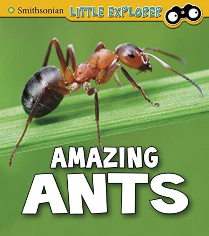 Amazing Ants by Gerard A Glasgow Royal Infirmary Glasgow UK McKayMatthew R University of Glasgow WaltersNeil D Ritchie-Paperback
Amazing Ants by Gerard A Glasgow Royal Infirmary Glasgow UK McKayMatthew R University of Glasgow WaltersNeil D Ritchie-Paperback