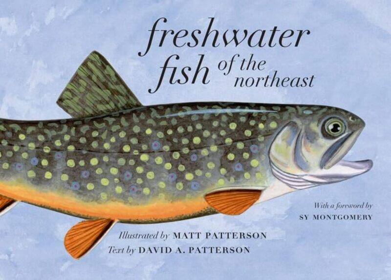 Freshwater Fish of the Northeast by Douglas WolfeGrant Schneider-Paperback
Freshwater Fish of the Northeast by Douglas WolfeGrant Schneider-Paperback