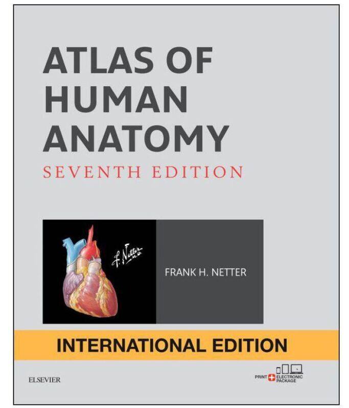 Atlas of Human Anatomy International Edition, Paperback Book, By: Frank H. Netter
Atlas of Human Anatomy International Edition, Paperback Book, By: Frank H. Netter