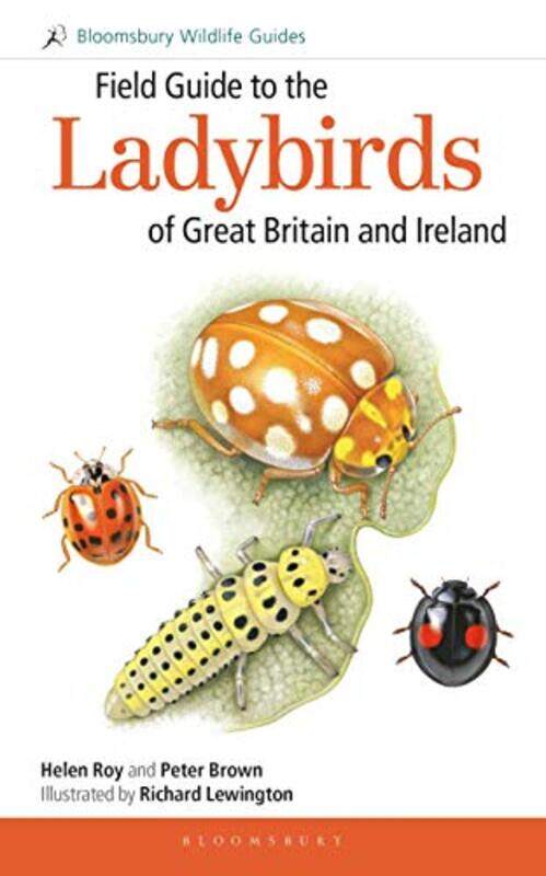 Field Guide to the Ladybirds of Great Britain and Ireland by Priscilla ColemanPaul Cheston-Paperback
Field Guide to the Ladybirds of Great Britain and Ireland by Priscilla ColemanPaul Cheston-Paperback
