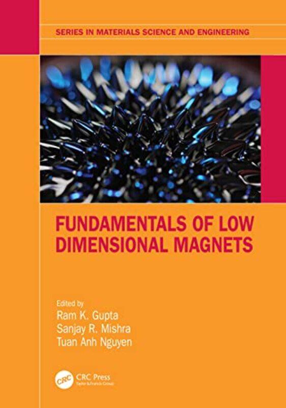 Fundamentals of Low Dimensional Magnets by Rudolf SteinerMatthew Barton-Hardcover
Fundamentals of Low Dimensional Magnets by Rudolf SteinerMatthew Barton-Hardcover