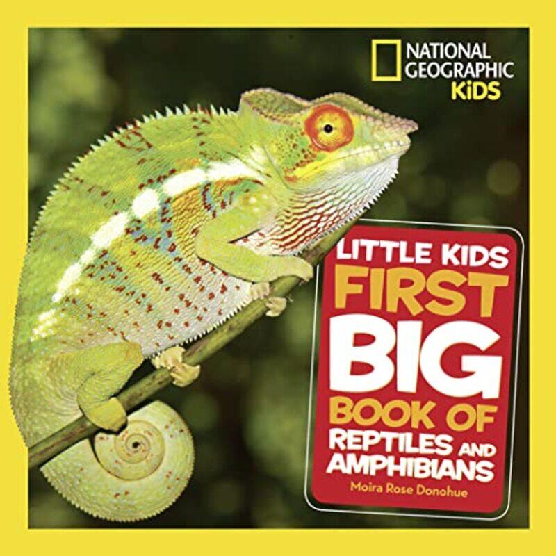 Little Kids First Big Book of Reptiles and Amphibians by Suze Yalof Schwartz-Hardcover
Little Kids First Big Book of Reptiles and Amphibians by Suze Yalof Schwartz-Hardcover