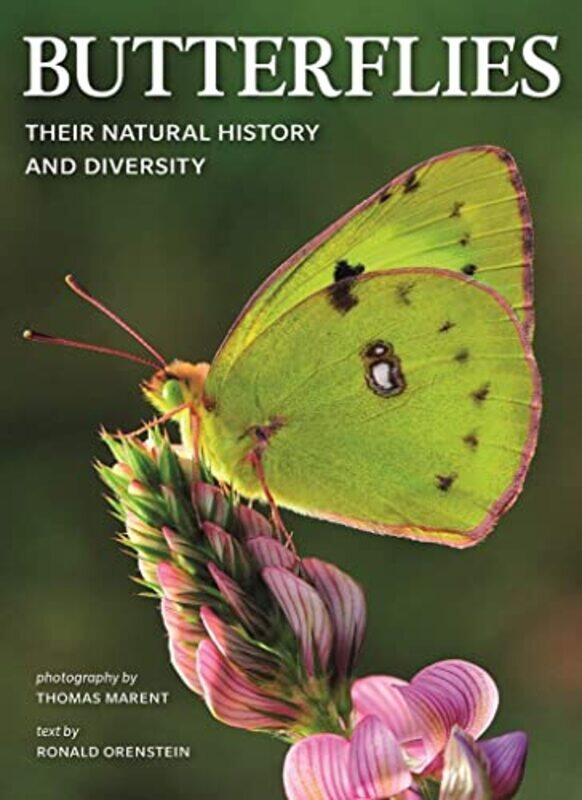Butterflies Their Natural History and Diversity by Malena ErnmanGreta ThunbergBeata ErnmanSvante Thunberg-Paperback
Butterflies Their Natural History and Diversity by Malena ErnmanGreta ThunbergBeata ErnmanSvante Thunberg-Paperback