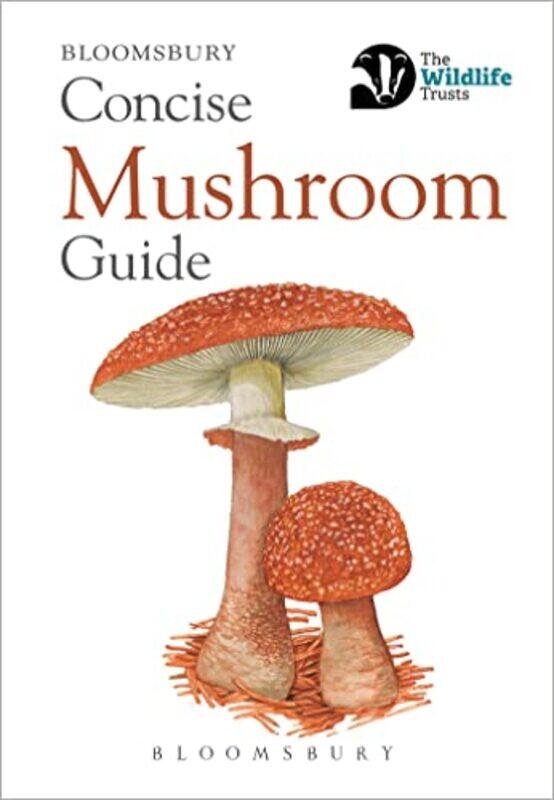 Concise Mushroom Guide by Dr Rebeca One Welfare UK Garcia Pinillos-Paperback
Concise Mushroom Guide by Dr Rebeca One Welfare UK Garcia Pinillos-Paperback