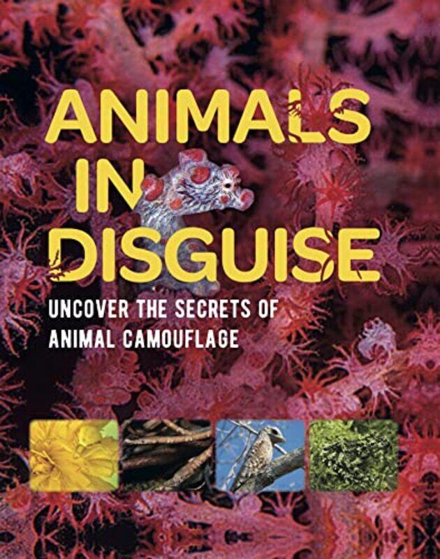 Animals in Disguise by Abigail A University of Florida USA FaganDelbert University of Colorado Boulder USA Elliott-Paperback
Animals in Disguise by Abigail A University of Florida USA FaganDelbert University of Colorado Boulder USA Elliott-Paperback