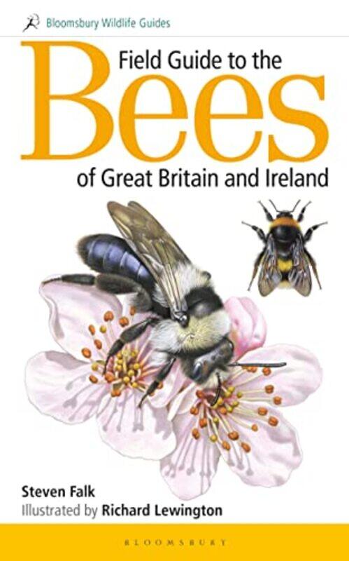 Field Guide to the Bees of Great Britain and Ireland by Cheryl SchmidtChristopher Lee-Paperback
Field Guide to the Bees of Great Britain and Ireland by Cheryl SchmidtChristopher Lee-Paperback
