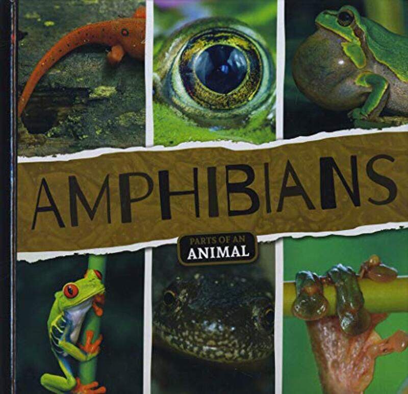 Amphibians by Vivian Maria American University USA VasquezBryan WoodsCarol Branigan American University USA Felderman-Hardcover
Amphibians by Vivian Maria American University USA VasquezBryan WoodsCarol Branigan American University USA Felderman-Hardcover