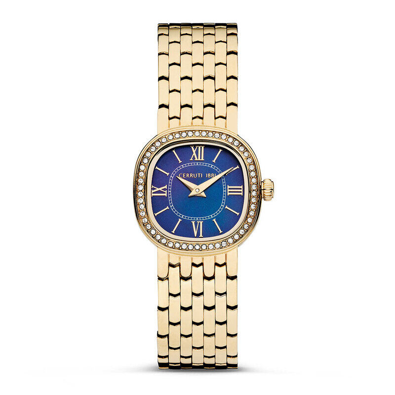 Cerruti 1881 Analog Watch for Women with Stainless Steel Band, Water Resistant, CIWLG0008602, Gold-Blue
Cerruti 1881 Analog Watch for Women with Stainless Steel Band, Water Resistant, CIWLG0008602, Gold-Blue