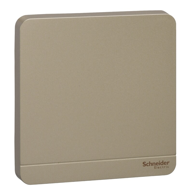 Schneider Electric AvatarOn, blank plate, 1 gang, Wine Gold (Model Number-E8330X_WG)
Schneider Electric AvatarOn, blank plate, 1 gang, Wine Gold (Model Number-E8330X_WG)