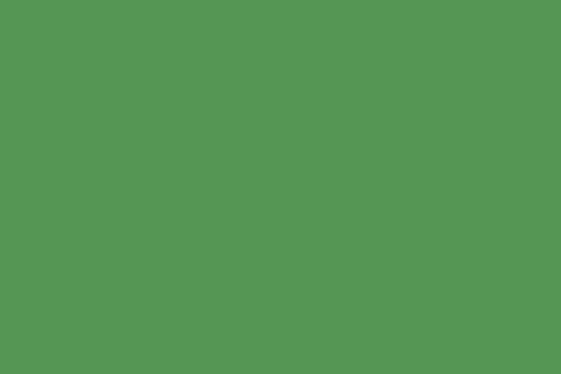 Generic Promage PM-PB54 Seamless Photography Backdrop Background Paper, 2.72m x 10m, Stinger Green
Generic Promage PM-PB54 Seamless Photography Backdrop Background Paper, 2.72m x 10m, Stinger Green