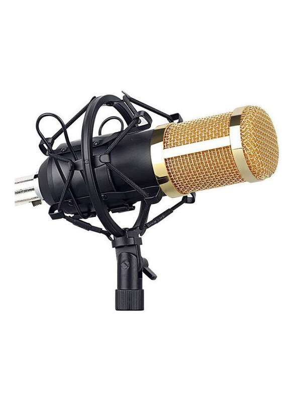 Generic Microphone Kit Computer Condenser Mic with Arm Sound Card, D8890, Multicolour
Generic Microphone Kit Computer Condenser Mic with Arm Sound Card, D8890, Multicolour
