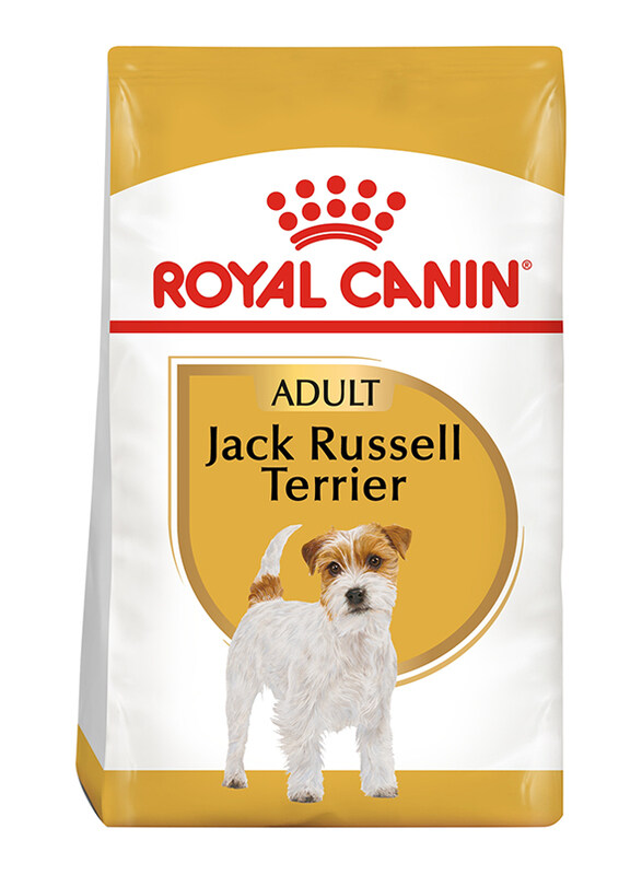 Royal Canin Breed Health Nutrition Jack Russell Terrier Adult Dog Dry Food, 1.5 Kg
Royal Canin Breed Health Nutrition Jack Russell Terrier Adult Dog Dry Food, 1.5 Kg