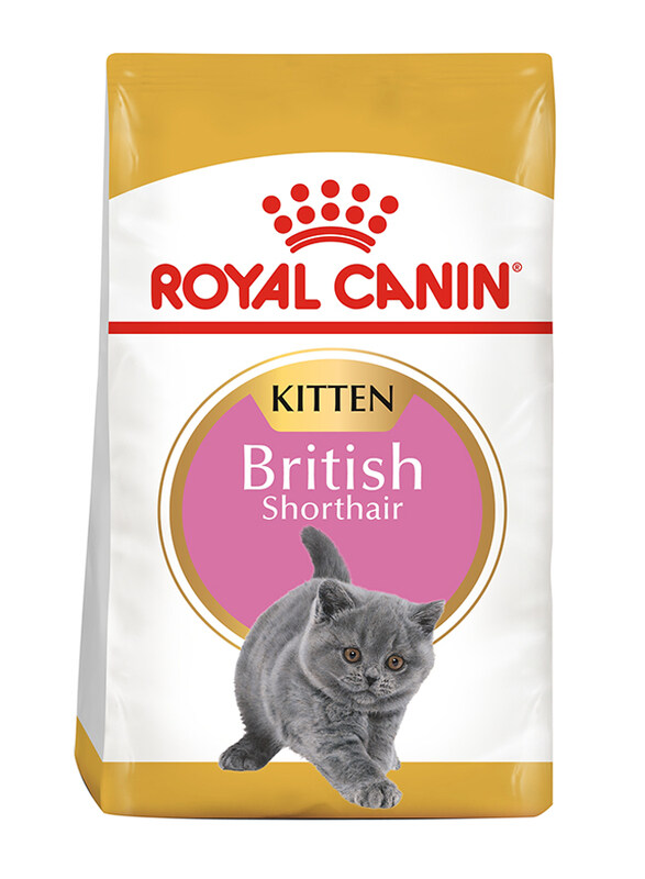 Royal Canin Feline Breed Nutrition Kitten British Shorthair Dry Food, 2 Kg
Royal Canin Feline Breed Nutrition Kitten British Shorthair Dry Food, 2 Kg