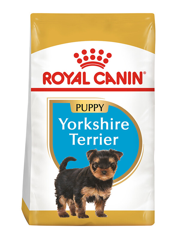Royal Canin Breed Health Nutrition Yorkshire Terrier Puppy Dog Dry Food, 1.5 Kg
Royal Canin Breed Health Nutrition Yorkshire Terrier Puppy Dog Dry Food, 1.5 Kg