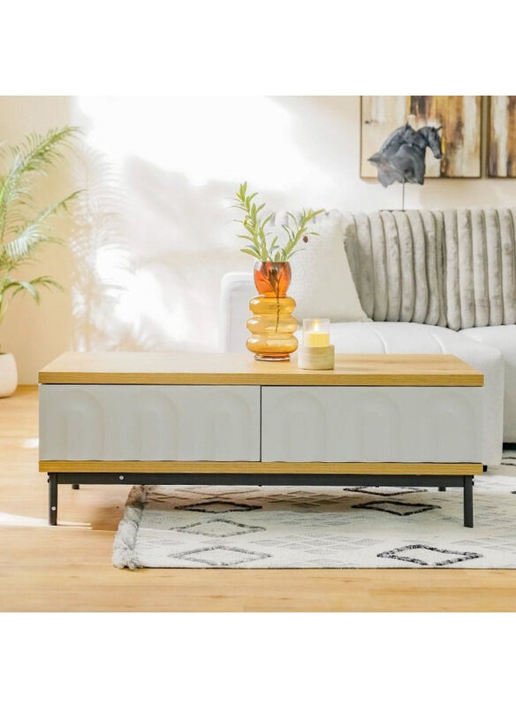 Danube Home Delmar Centre Modern Design Coffee Table with 2 Drawers, Natural/Grey
Danube Home Delmar Centre Modern Design Coffee Table with 2 Drawers, Natural/Grey