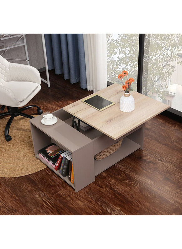 Danube Home Spence Lifttop With Storage Multifunctional Living Room Table Space Saving Center Coffee Table Modern Design Furniture For Home, Oak Grey
Danube Home Spence Lifttop With Storage Multifunctional Living Room Table Space Saving Center Coffee Table Modern Design Furniture For Home, Oak Grey