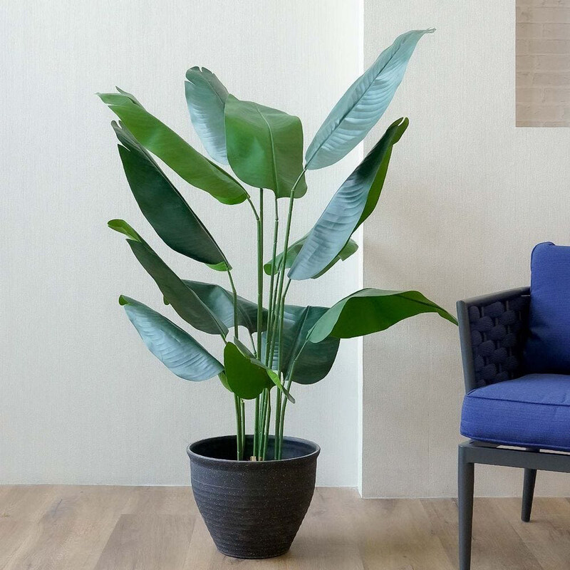 Danube Home Traveller's Tree With Pot Decorative Plastic Plant Greenery Artificial Trees For Home Garden Indoor Outdoor, 180cm, Green
Danube Home Traveller's Tree With Pot Decorative Plastic Plant Greenery Artificial Trees For Home Garden Indoor Outdoor, 180cm, Green