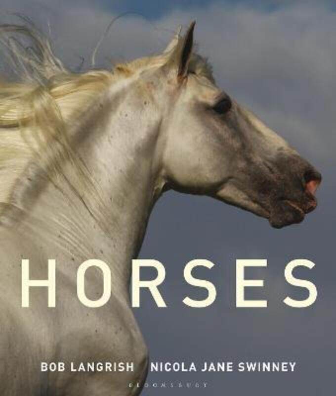 Horses, Hardcover Book, By: Nicola Jane Swinney