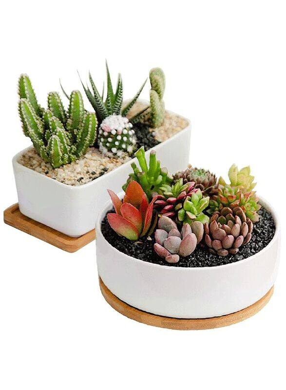 Generic White Ceramic Planter with Bamboo Tray, Planters for Succulents, Indoor Home Decor, 1 Rectangle Pot + 1 6.5 Inch Round Cactus Pot Set
Generic White Ceramic Planter with Bamboo Tray, Planters for Succulents, Indoor Home Decor, 1 Rectangle Pot + 1 6.5 Inch Round Cactus Pot Set