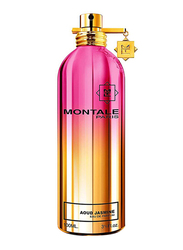 Montale Paris Aoud Jasmine 100ml EDP Unisex