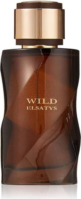 

RT Wild Elsatys EDP Perfume (M) 100ml