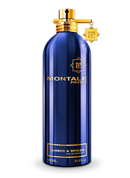 Montale Paris Amber & Spices 100ml EDP Unisex