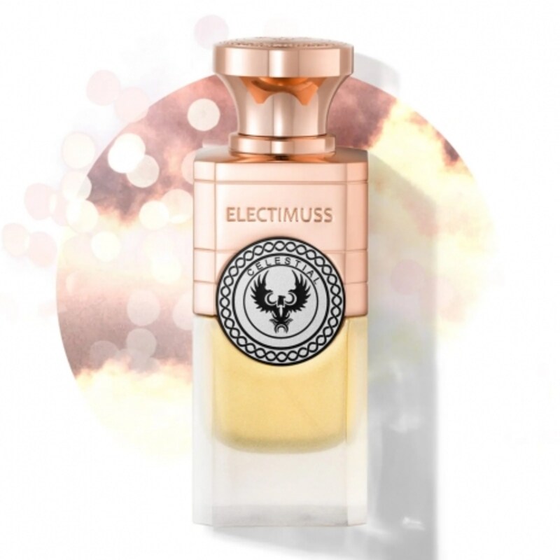 

Electimuss Fortuna Pure Parfum 100ml for Unisex