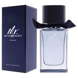 Mr burberry indigo edt 100ml for men