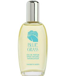 E.Arden Blue Grass EDP (L) 100ml