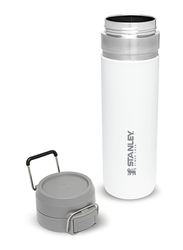 Stanley 24oz Stainless Steel Quick Flip Water Bottle, Polar