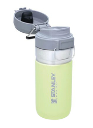 Stanley 16oz Stainless Steel Quick Flip Water Bottle, Citron