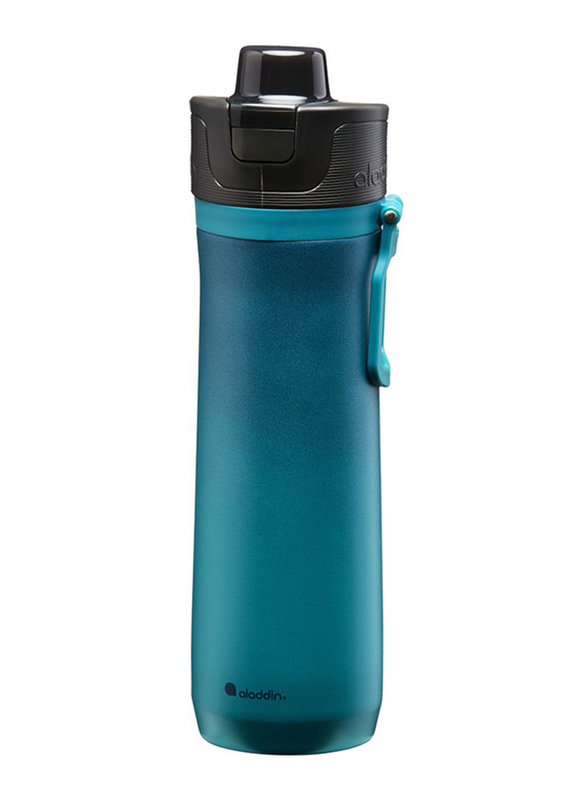 Aladdin 0.6 Ltr Sports Thermavac Stainless Steel Water Bottle, Navy Spruce Gradient