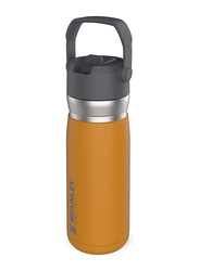 Stanley 22oz IceFlow Stainless Steel Water Bottle with Flip Straw, Saffron