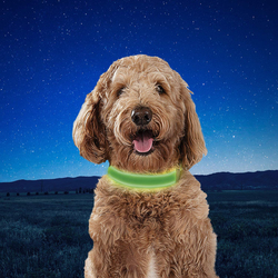 Nite Ize Rechargeable Led Collar, Medium, Lime
