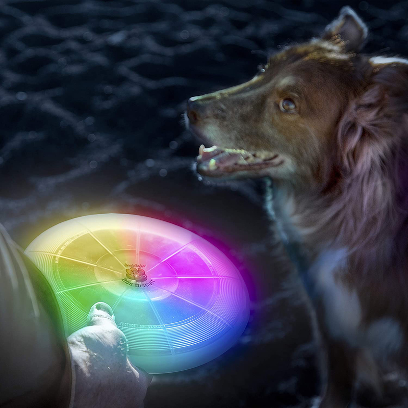 Nite Ize Flash Flight Dog Discuit Led Flying Disc, Multicolour