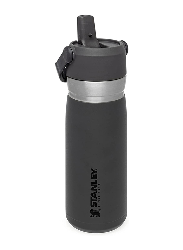 Stanley 22oz IceFlow Stainless Steel Water Bottle with Flip Straw, Charcoal