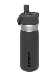 Stanley 22oz IceFlow Stainless Steel Water Bottle with Flip Straw, Charcoal