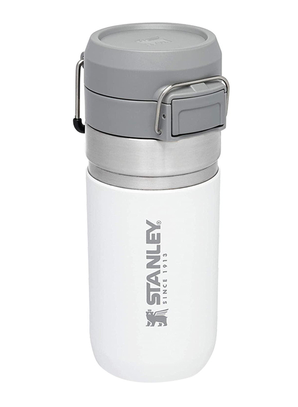 Stanley 16oz Stainless Steel Quick Flip Water Bottle, Polar