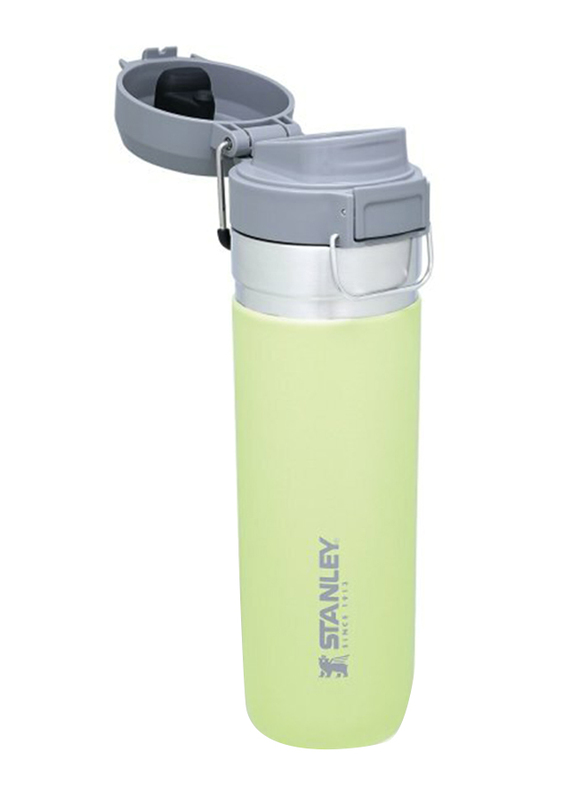 Stanley 24oz Stainless Steel Quick Flip Water Bottle, Citron