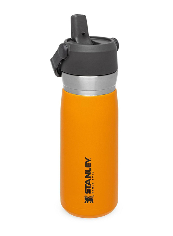 Stanley 22oz IceFlow Stainless Steel Water Bottle with Flip Straw, Saffron