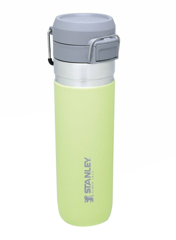 Stanley 24oz Stainless Steel Quick Flip Water Bottle, Citron