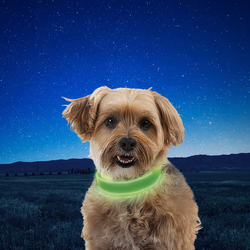 Nite Ize Rechargeable Led Collar, Small, Lime