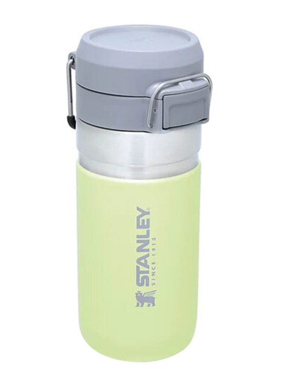 Stanley 16oz Stainless Steel Quick Flip Water Bottle, Citron